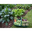 Abonos fertilizantes huertas - Planteles hortícolas