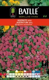 Agerato - Ageratum houstonianum - Semillas - Batlle