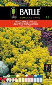 Aliso Anual Amarillo - Semillas - Batlle