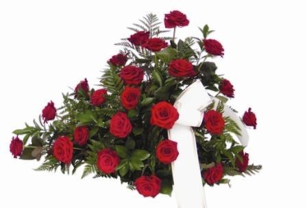 Rosa - Centro funerario 24 rosas