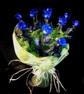 Rosas azules - Ramo Navidad 15 rosas azules